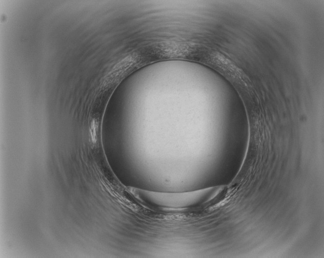 X0000059040075200510171859