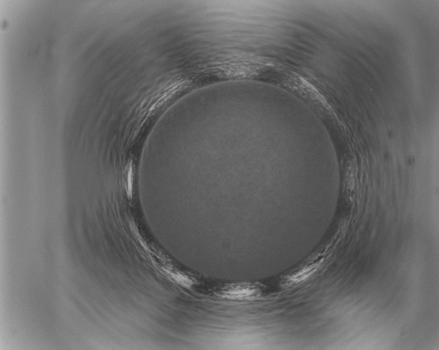 X0000059040076200510171859