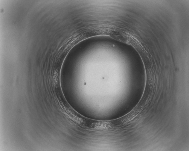 X0000059040077200510171859