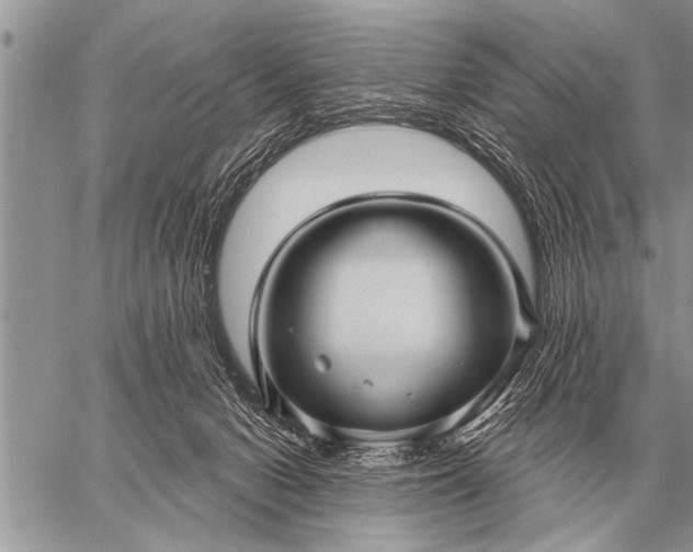 X0000059040078200510171859