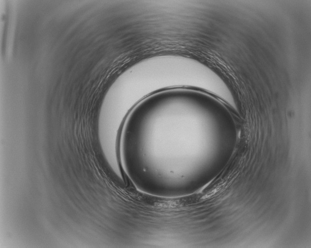 X0000059040079200510171859