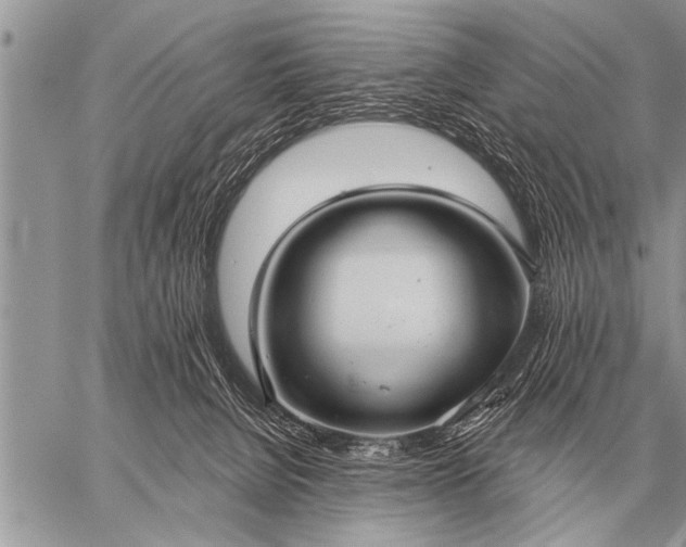 X0000059040080200510171859