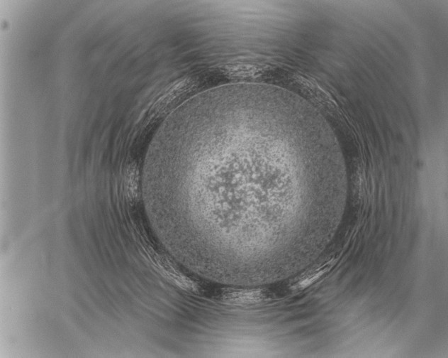 X0000059040081200510171859