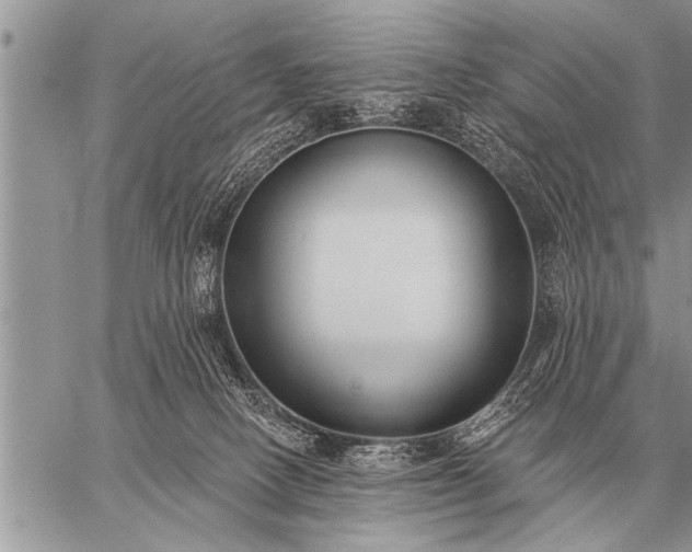 X0000059040082200510171859