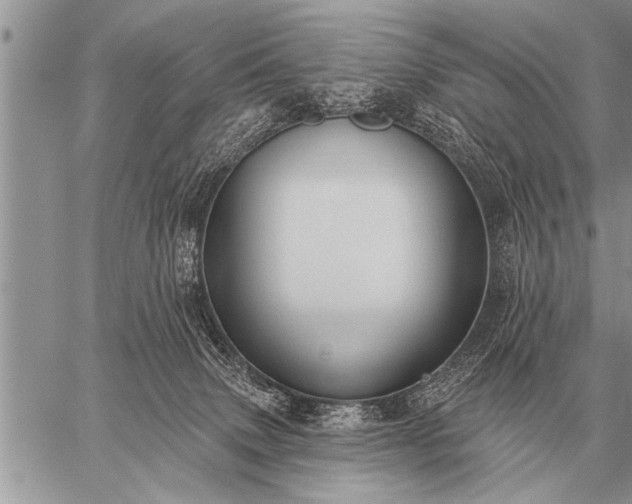 X0000059040083200510171859