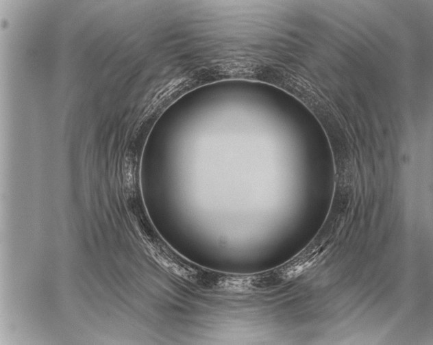 X0000059040084200510171859