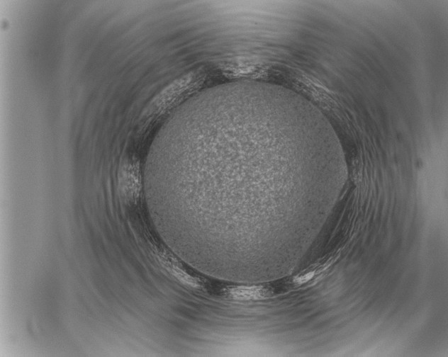 X0000059040085200510171859