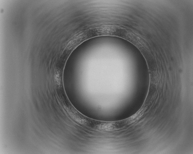 X0000059040086200510171859