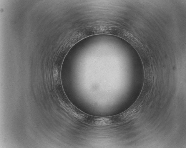 X0000059040087200510171859