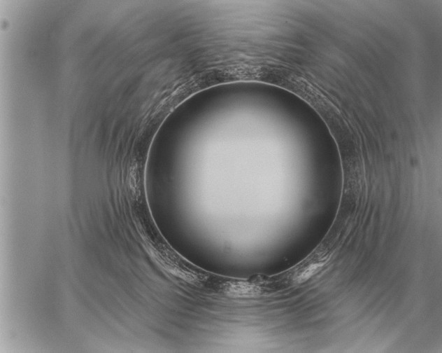 X0000059040088200510171859