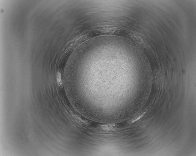 X0000059040089200510171859