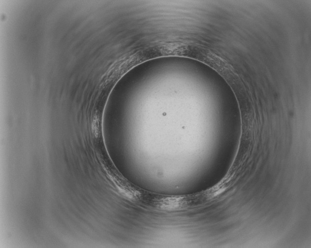 X0000059040090200510171859