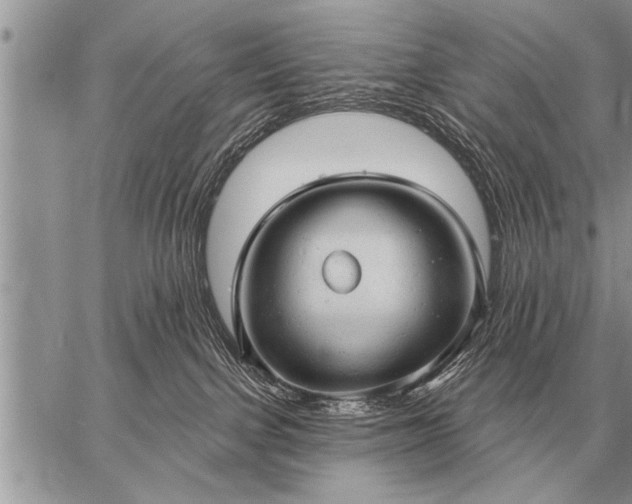 X0000059040091200510171859