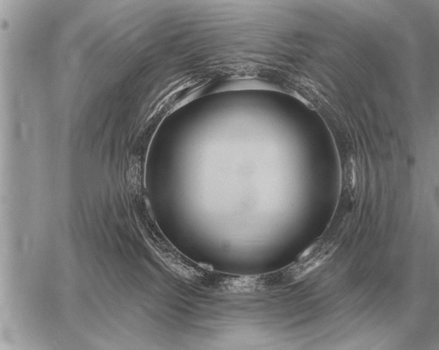 X0000059040092200510171859