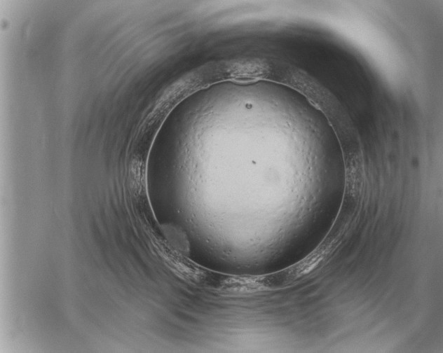 X0000059040093200510171859