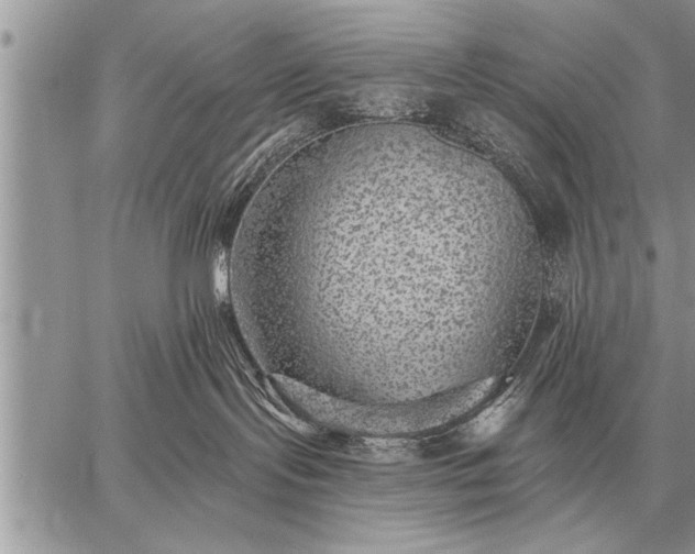 X0000059040095200510171859