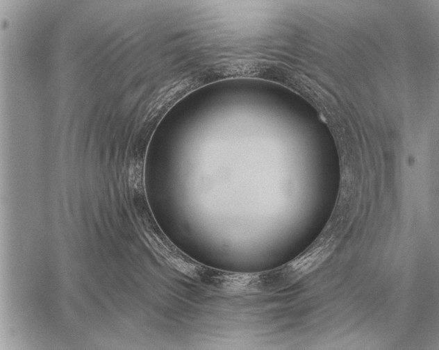 X0000059040096200510171859