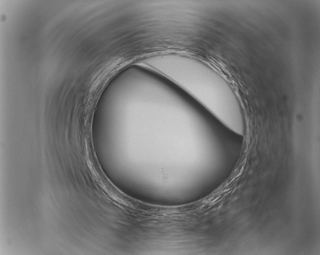 X0000059040097200510171858