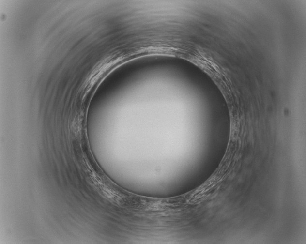 X0000059040098200510171858