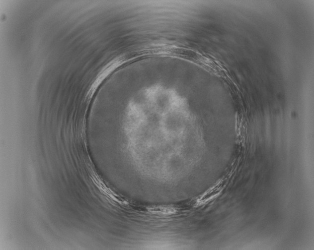 X0000059040099200510171858