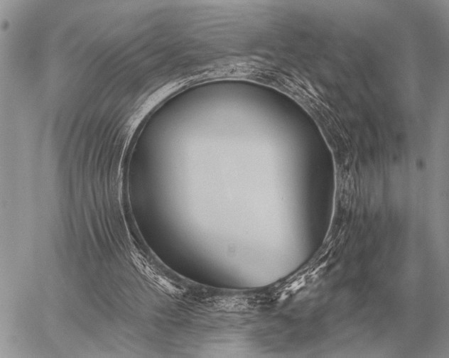 X0000059040100200510171858