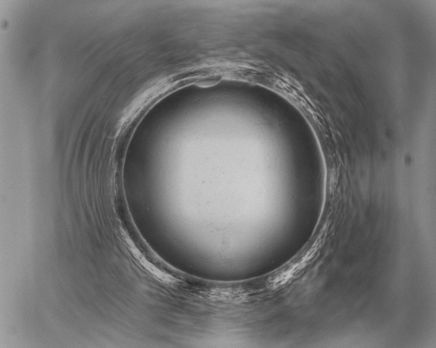 X0000059040101200510171858