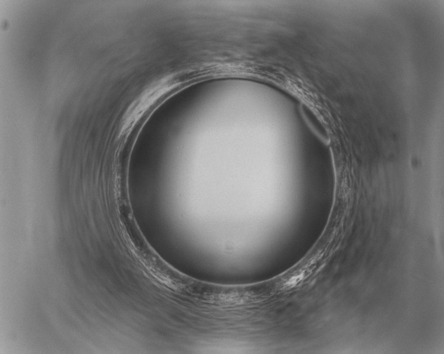 X0000059040103200510171858