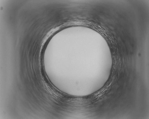 X0000059040104200510171858