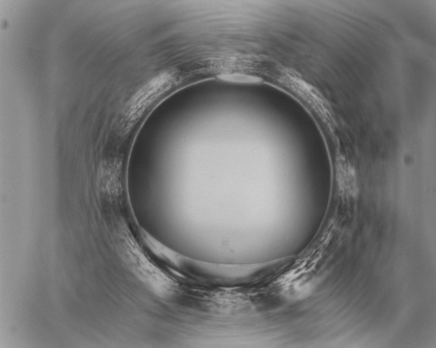 X0000059040105200510171858