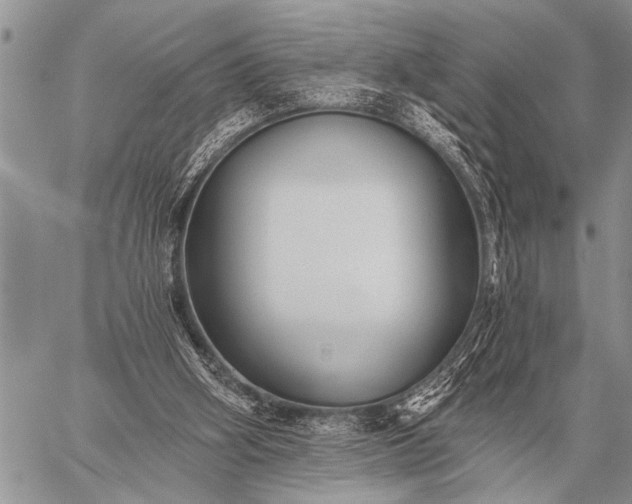 X0000059040106200510171858