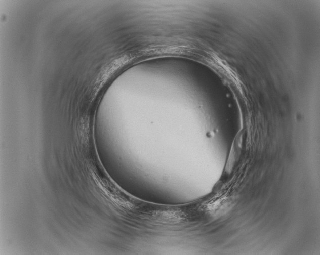 X0000059040107200510171858