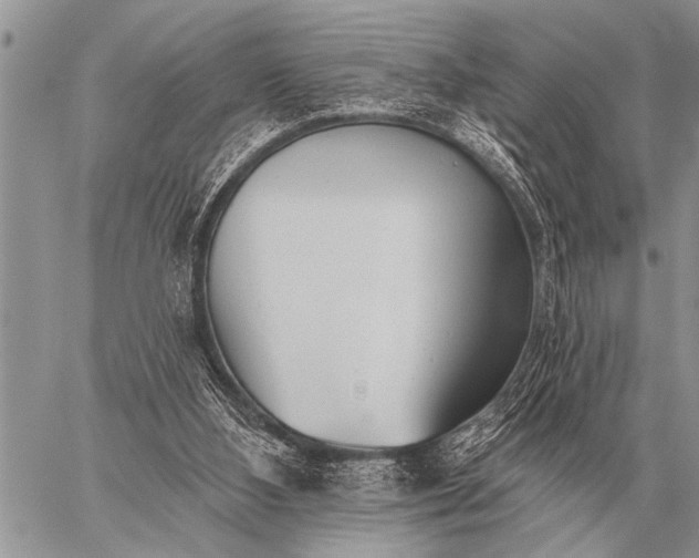 X0000059040108200510171858