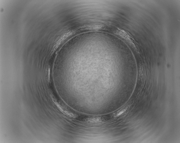 X0000059040110200510171858