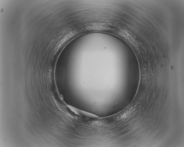 X0000059040111200510171858