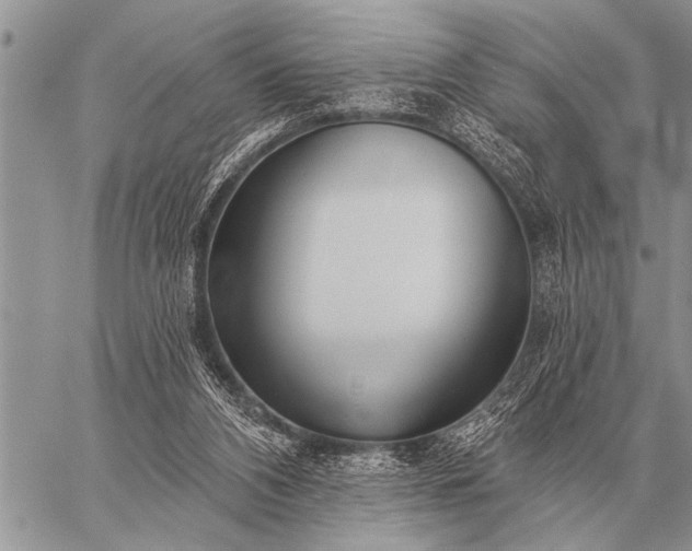 X0000059040112200510171858