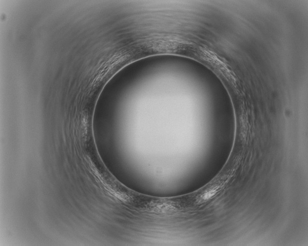 X0000059040113200510171858