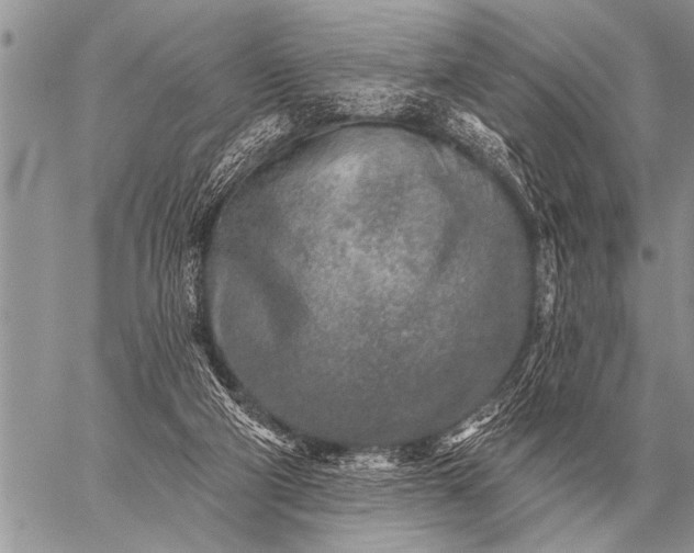 X0000059040114200510171858