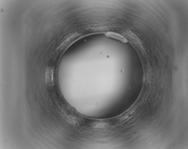 X0000059040115200510171858