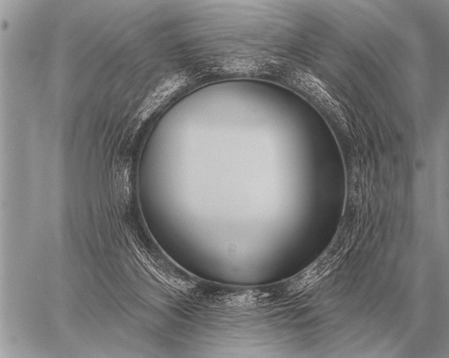 X0000059040116200510171858