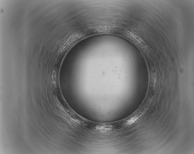 X0000059040117200510171858