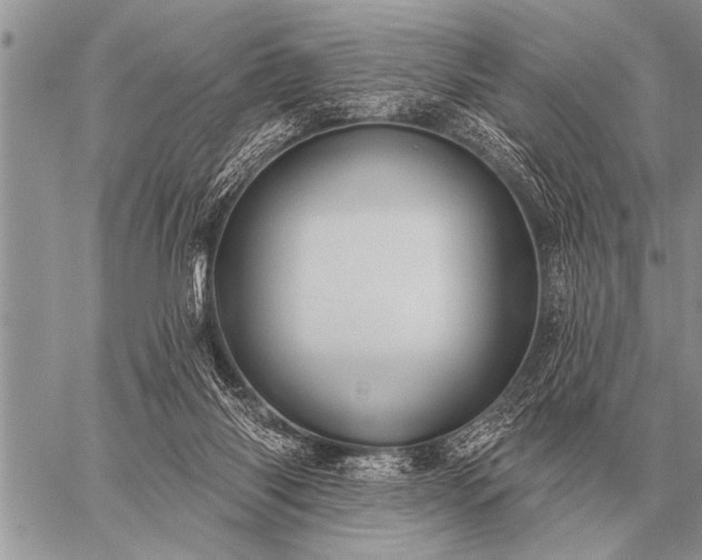 X0000059040118200510171858