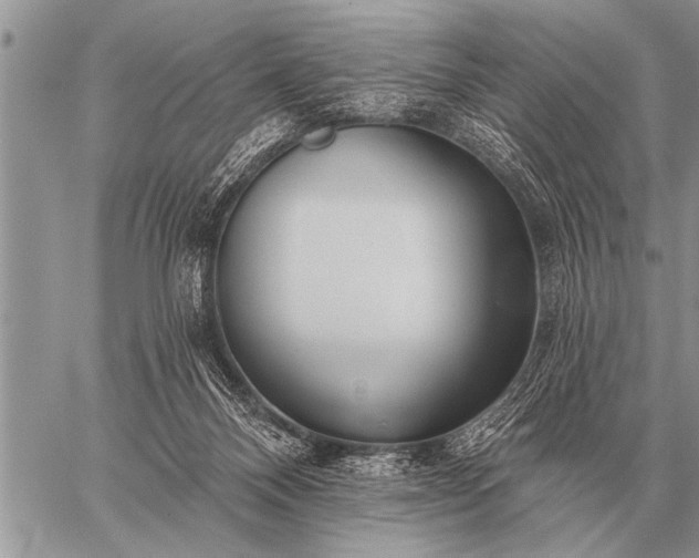 X0000059040120200510171858