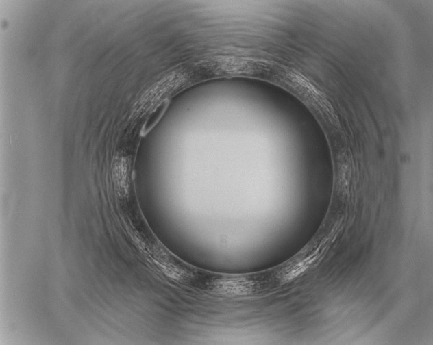 X0000059040121200510171858