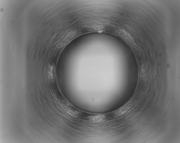 X0000059040122200510171858