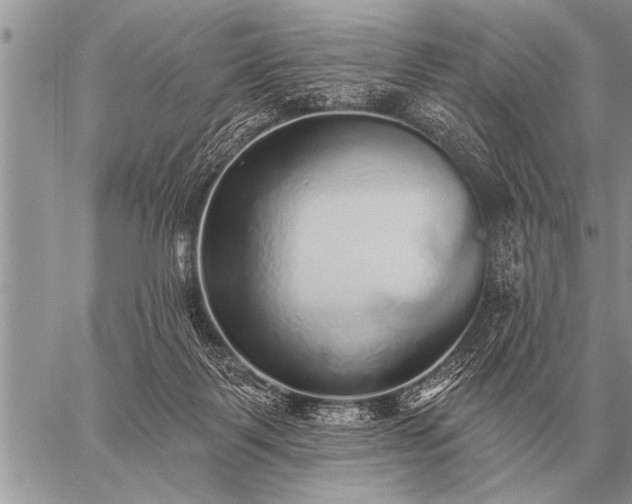 X0000059040123200510171858