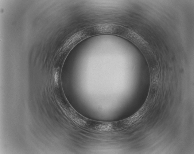 X0000059040124200510171858