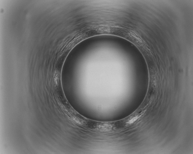 X0000059040125200510171858