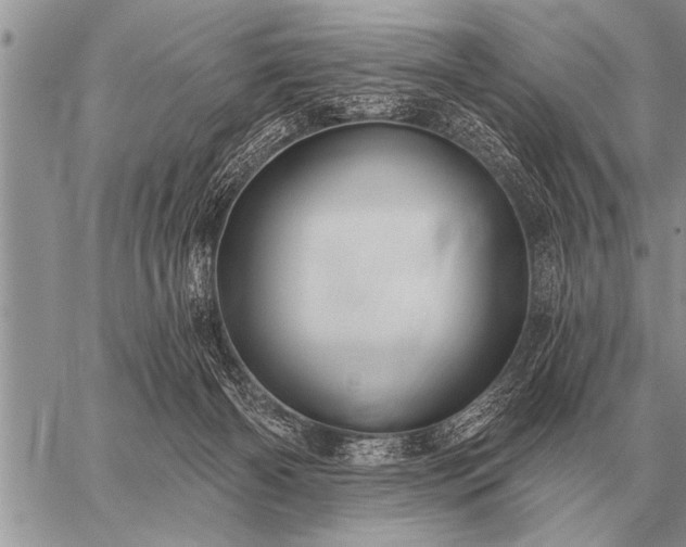 X0000059040126200510171858