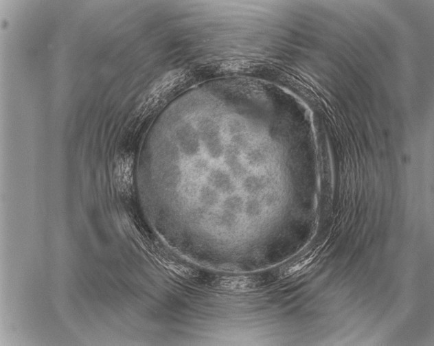 X0000059040127200510171858