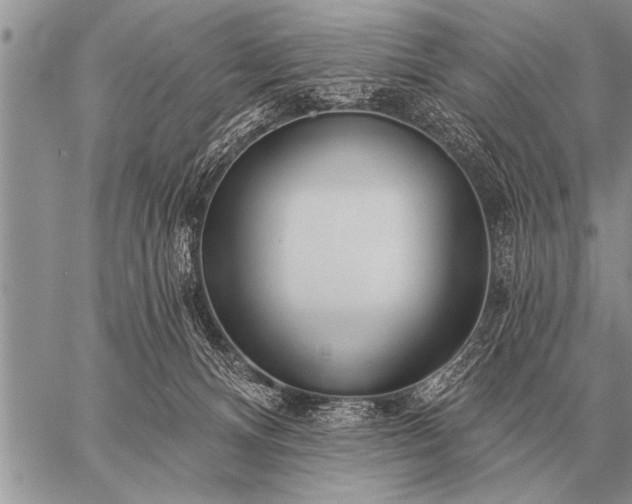 X0000059040128200510171858